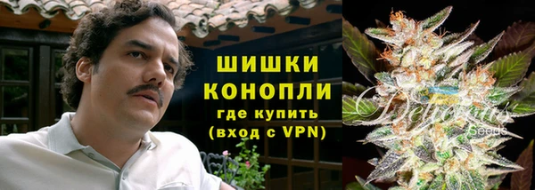 индика Волгодонск
