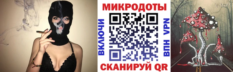 Галлюциногенные грибы Psilocybe  купить наркотик  Котельнич 